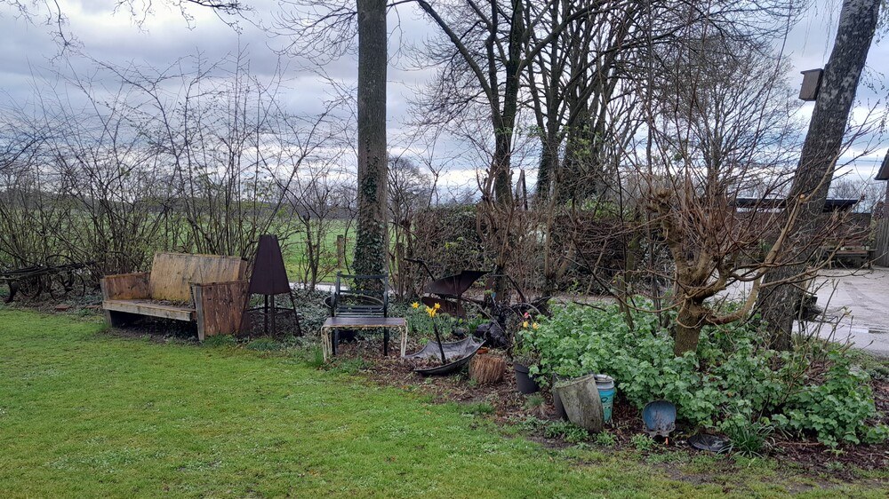 Bloemen op het erf