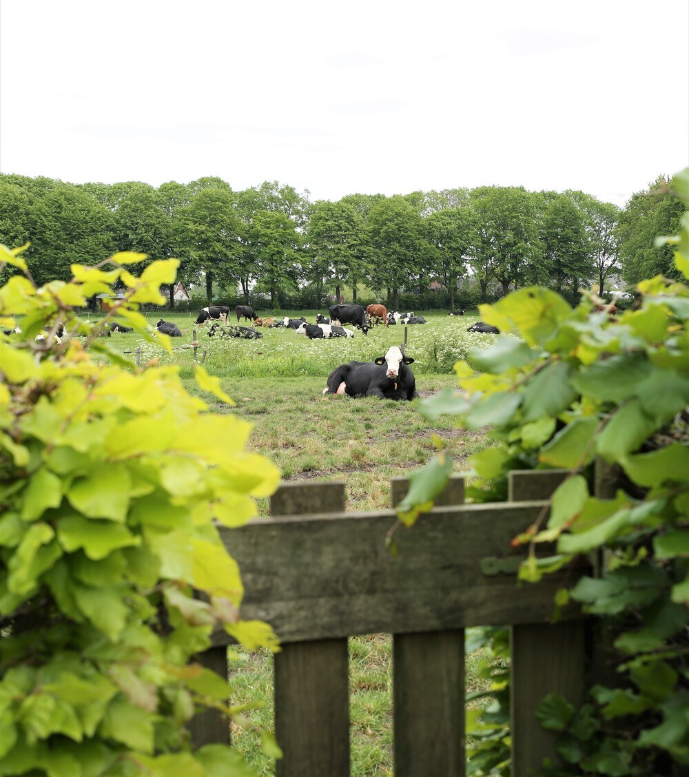 De boerderij