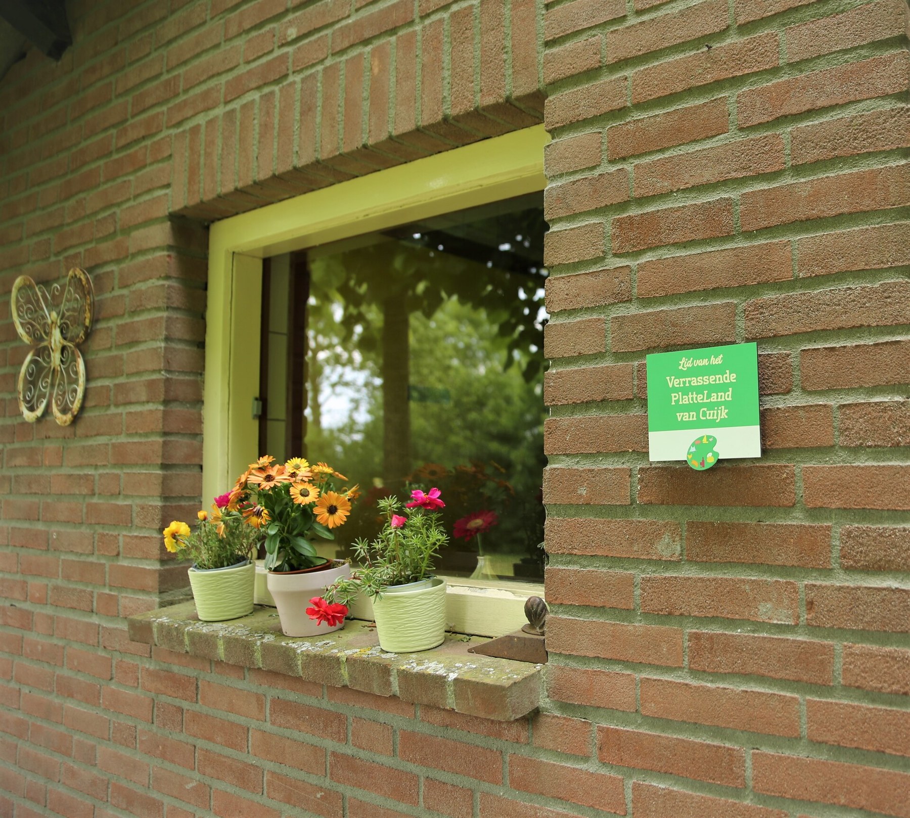 Bloemen bij het raam