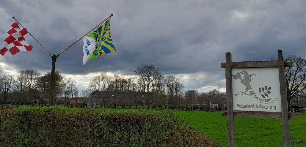 De vlaggen